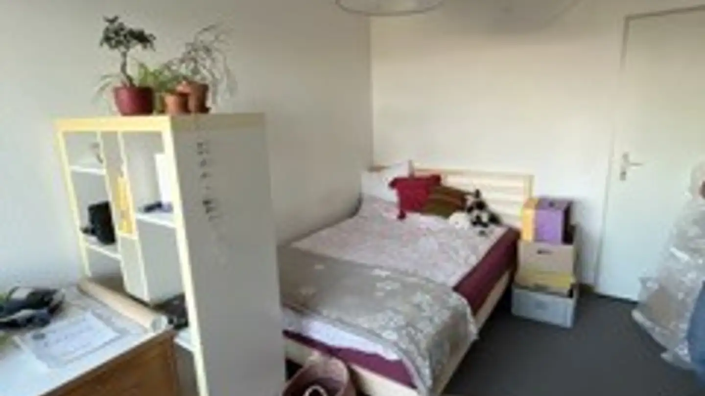 Chambre à louer - Lerchenhalde 43, 8046 Zürich - Photo 2