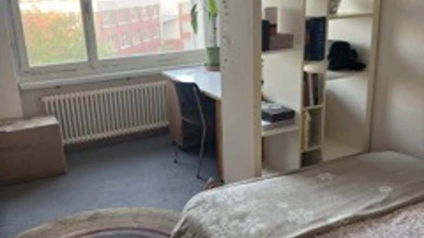 Chambre à louer - Lerchenhalde 43, 8046 Zürich - Photo 3