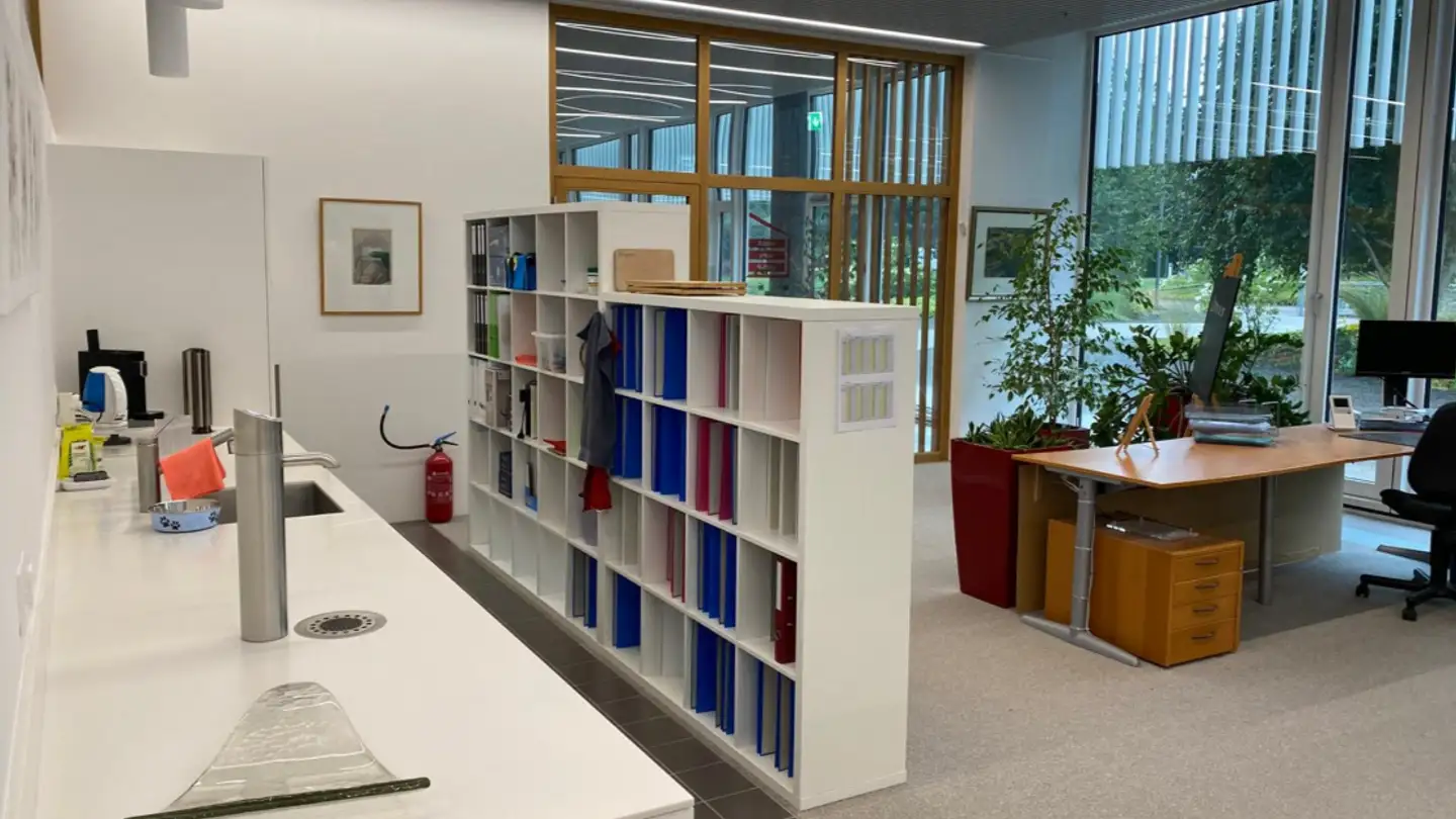Bürofläche mieten - Sumpfstrasse 18, 6312 Steinhausen - Foto 2