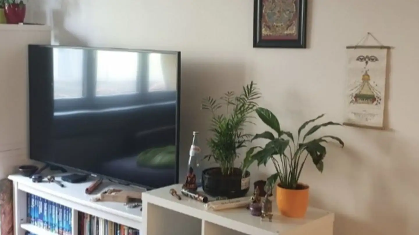 Apartment for rent - Binzwiesenstrasse 40, 8057 Zürich
