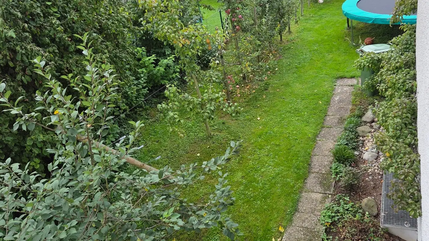 Stanza singola in affitto - 8265 Mammern