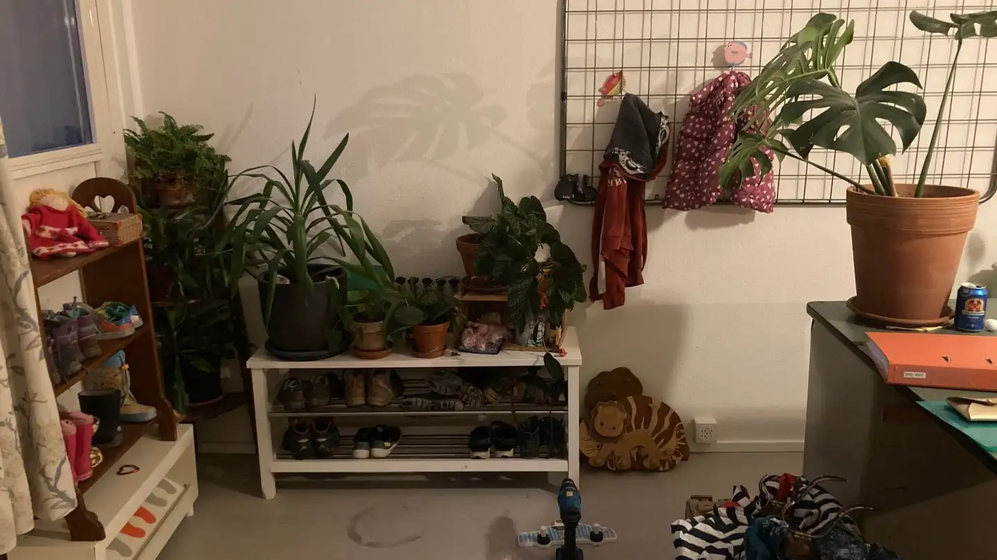 Duplex for rent - Jurastrasse 9, 4147 Aesch BL - Photo 3