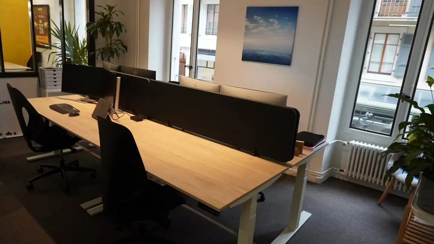 Commerciale in affitto - Rue Claudine-Levet 3, 1201 Genève - Foto 4