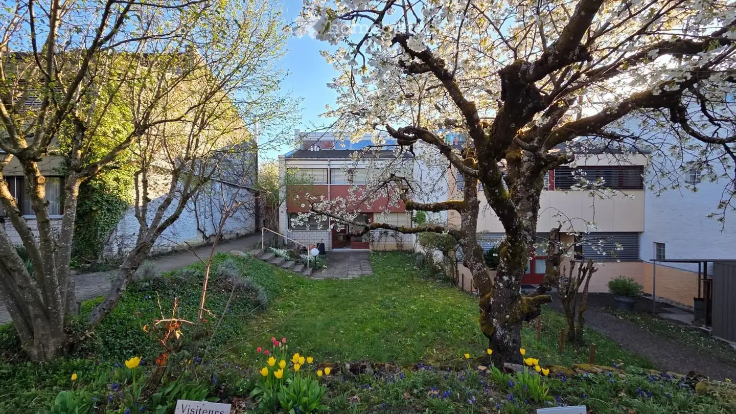 Casa singola in affitto - 2016 Cortaillod