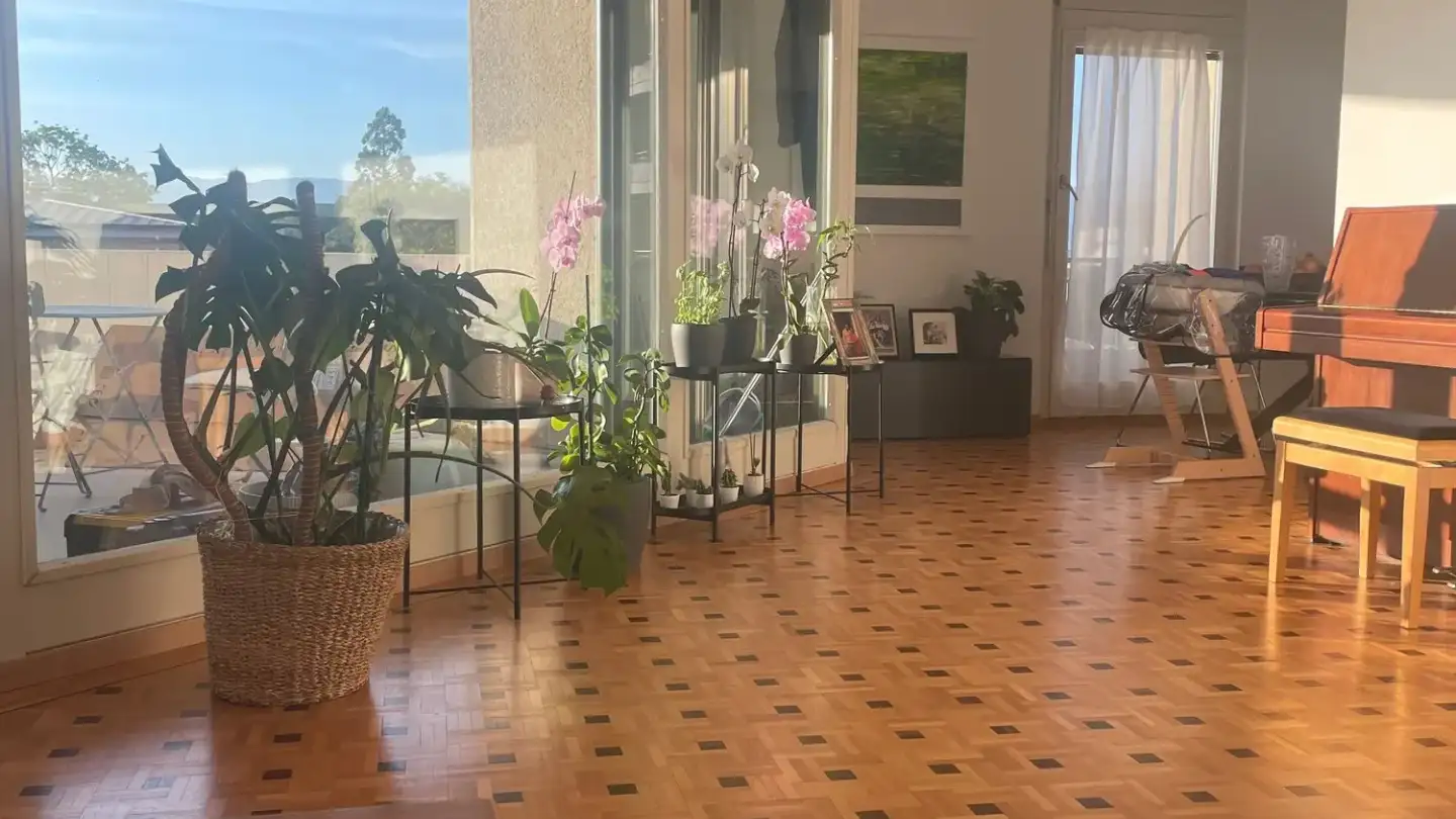 Duplex in affitto - 1260 Nyon