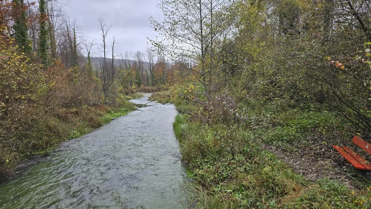 Appartamento in affitto - Bruggerstrasse 55, 5102 Rupperswil - Photo 4