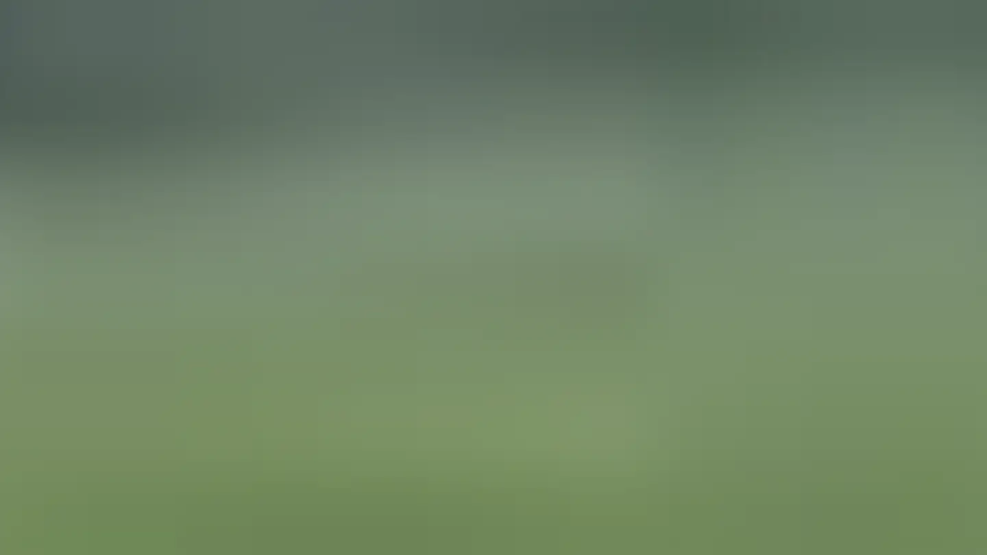 Appartement à louer - Hofurlistrasse 41, 6373 Ennetbürgen