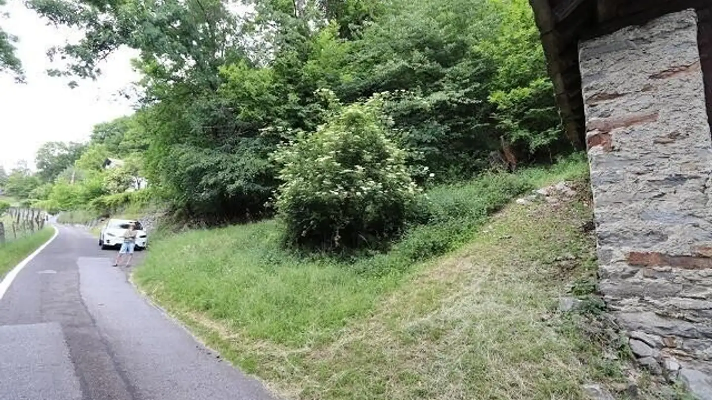 Single house for sale - 6748 Anzonico - Photo 2