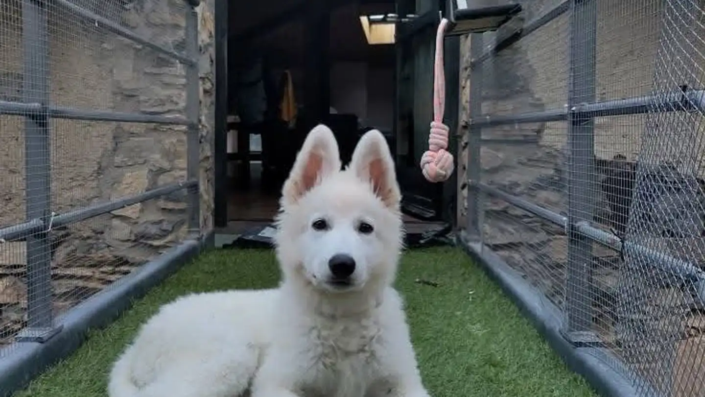 Appartamento ammobiliato in affitto - Via San Bartolomeo 21, 6838 Cabbio