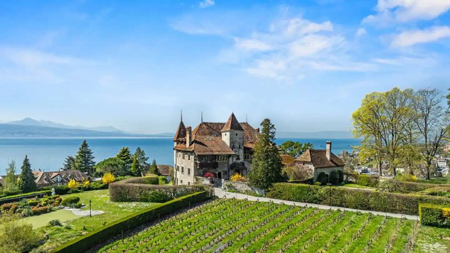 Castle for sale - Chemin de Bochat, 1094 Paudex