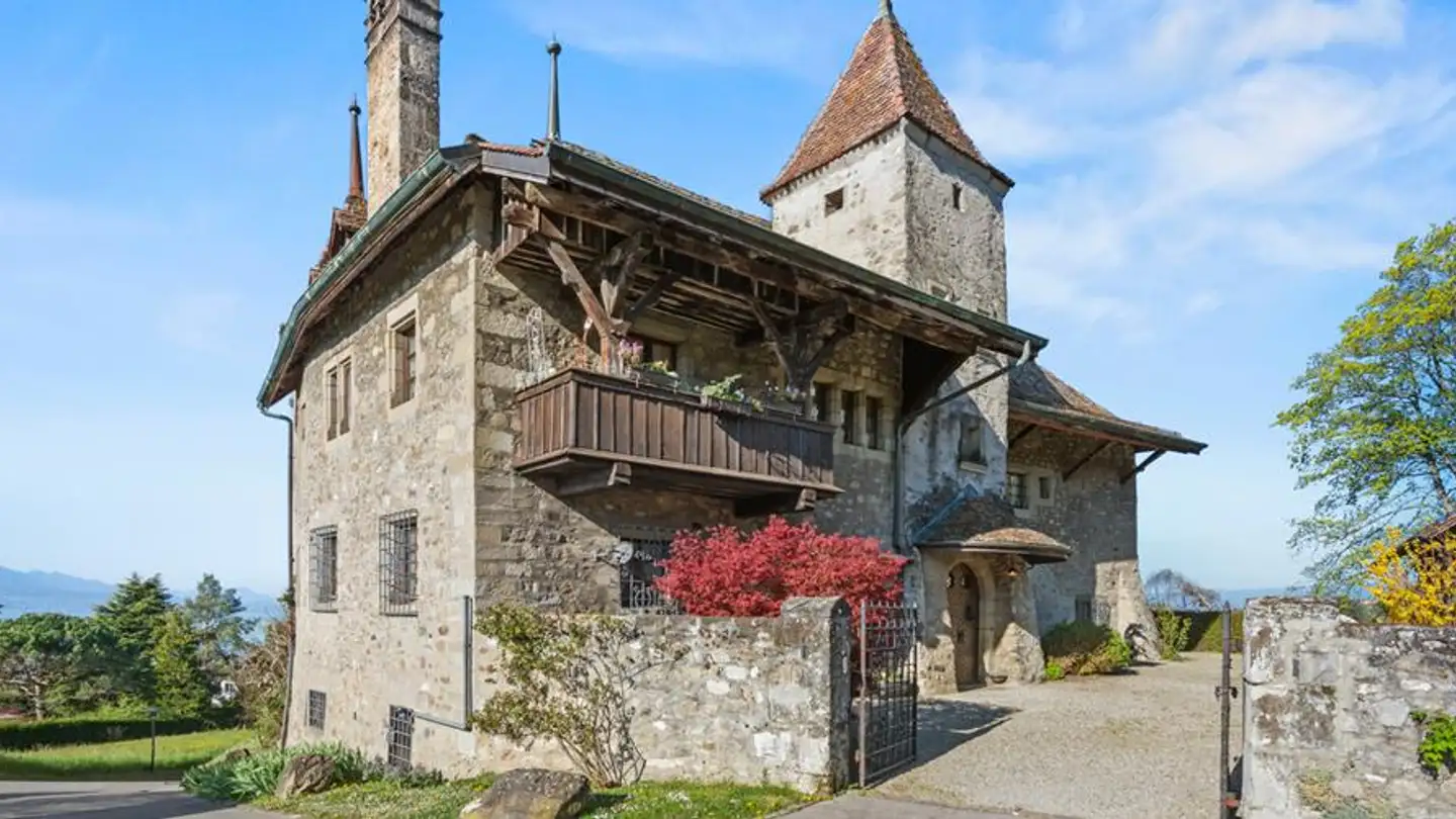 Château à vendre - Chemin de Bochat, 1094 Paudex - Photo 3