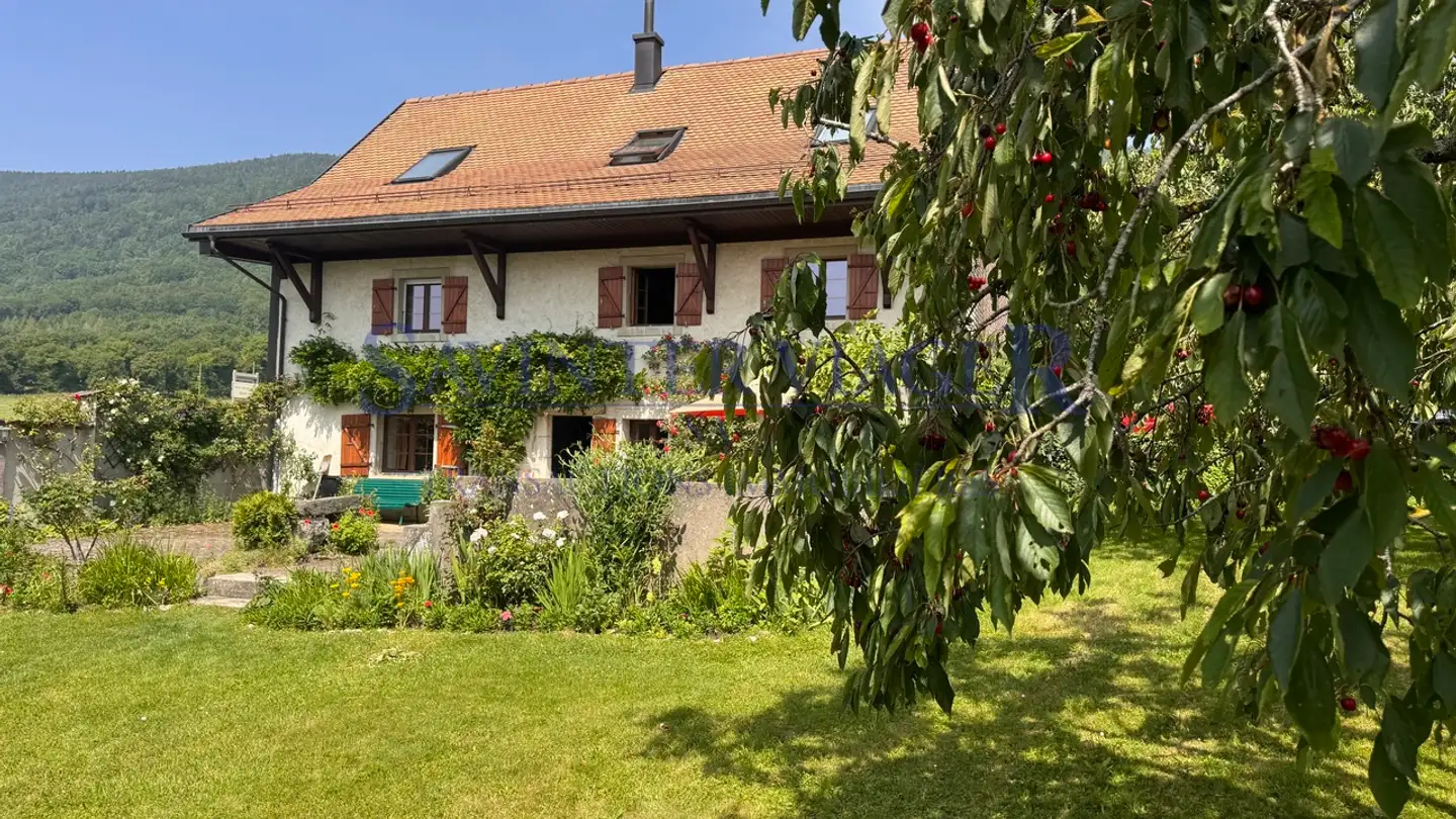 Einfamilienhaus kaufen - 1146 Mollens VD - Foto 2