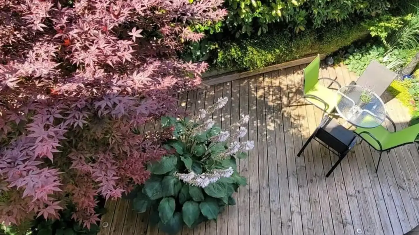 Maison en terrasse à louer - Lehenweg 6a, 4614 Hägendorf - Photo 3