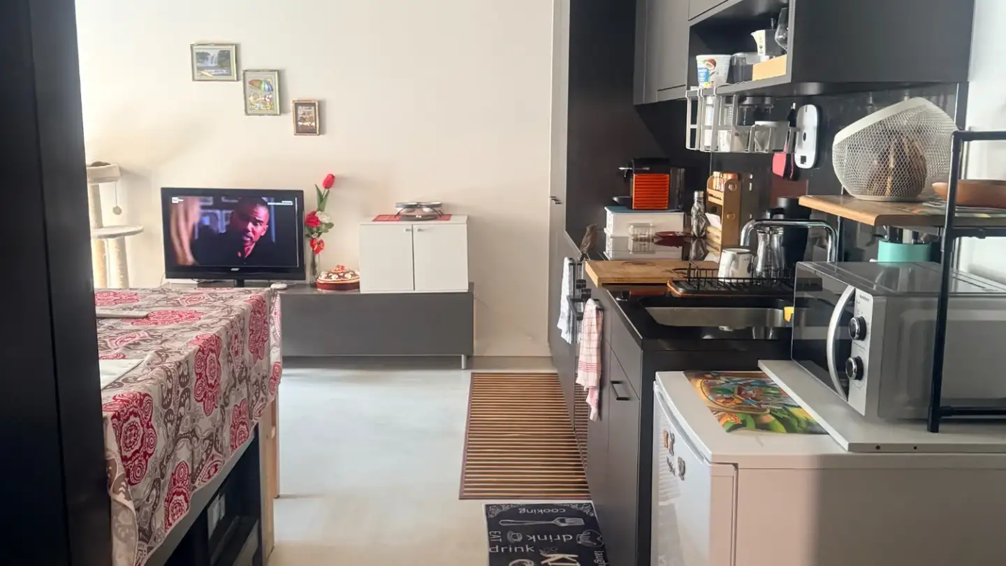 Appartamento in affitto - Via San Gottardo 16, 6500 Bellinzona - Foto 4