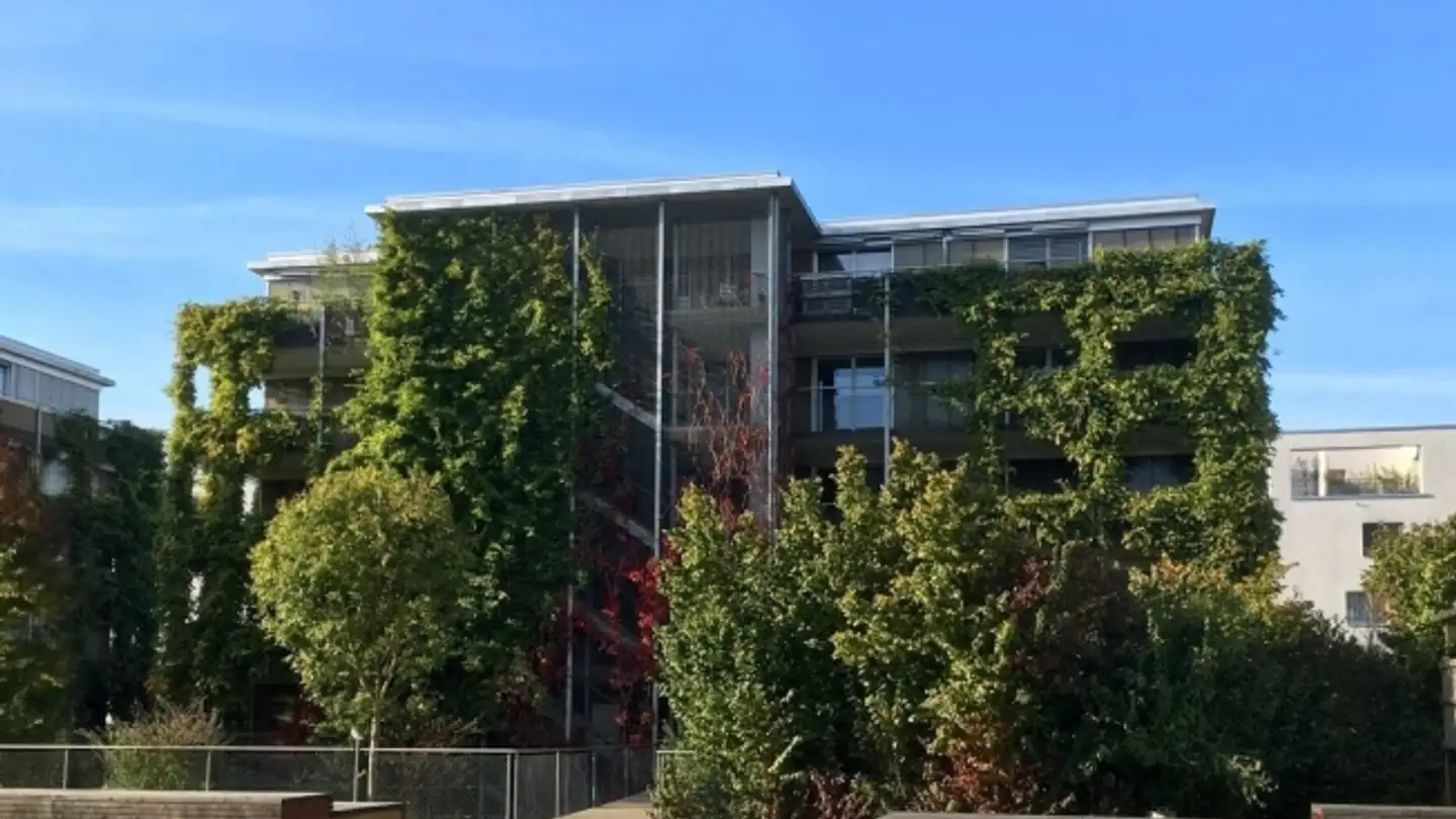 Gewerbe mieten - Südweg 6, 8180 Bülach