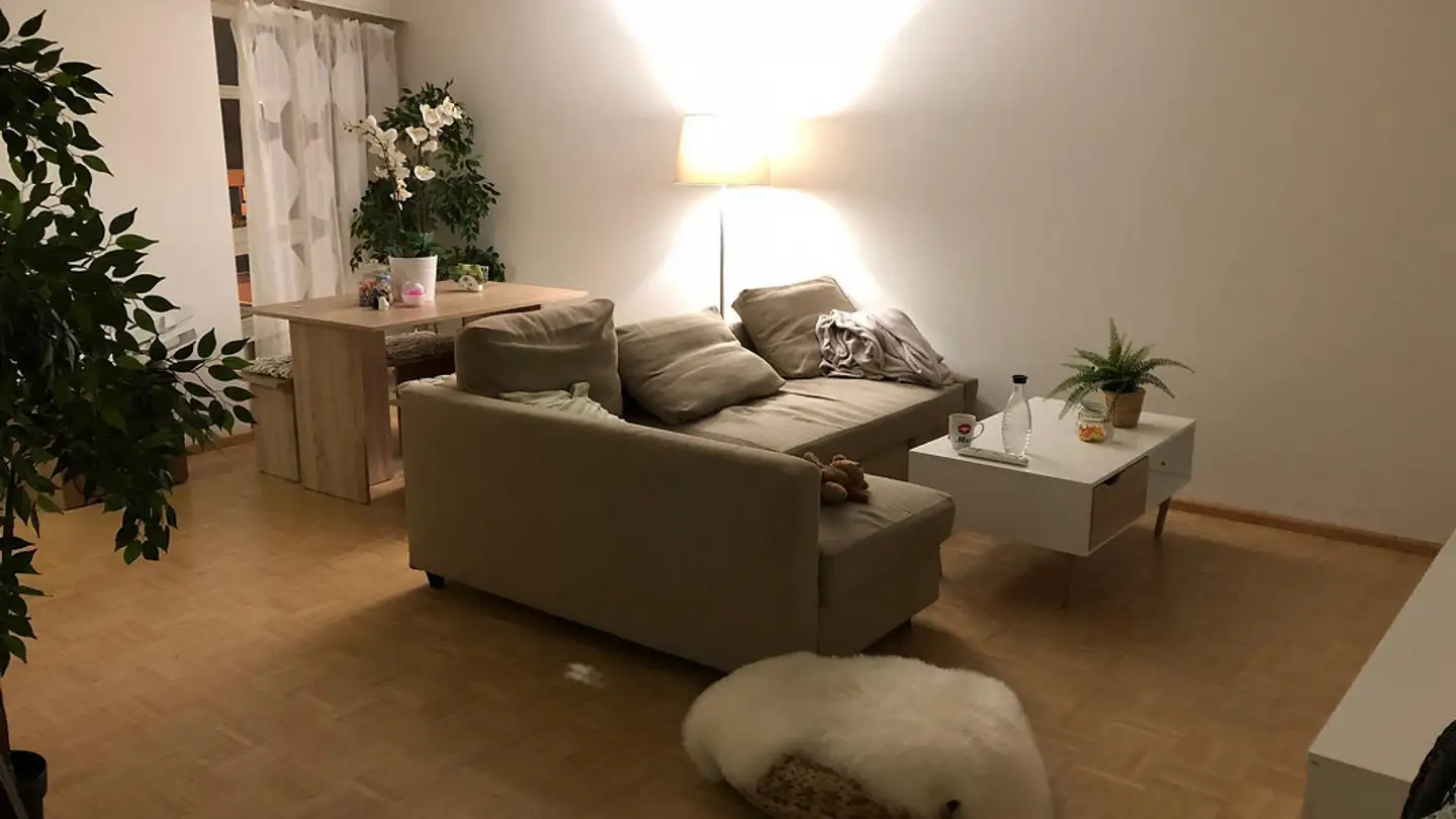Appartamento in affitto - Hauptstrasse 34, 4127 Birsfelden - Foto 4