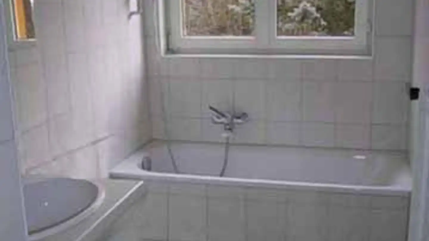 Appartement à louer - Baltenschwilerstrasse 27, 8962 Bergdietikon - Photo 4