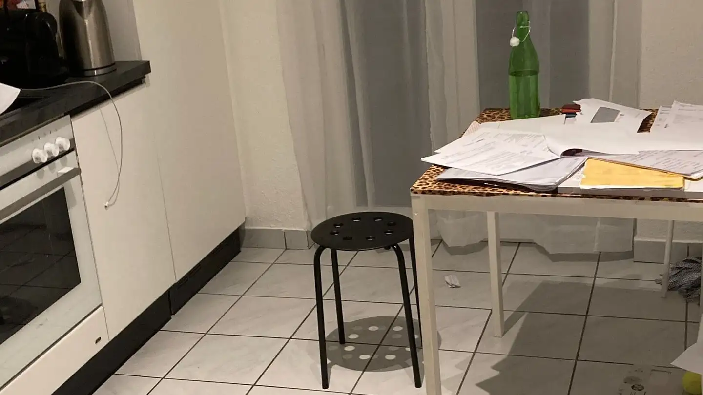 Attic flat for rent - Via Alexander Fleming 8, 6500 Bellinzona - Photo 3