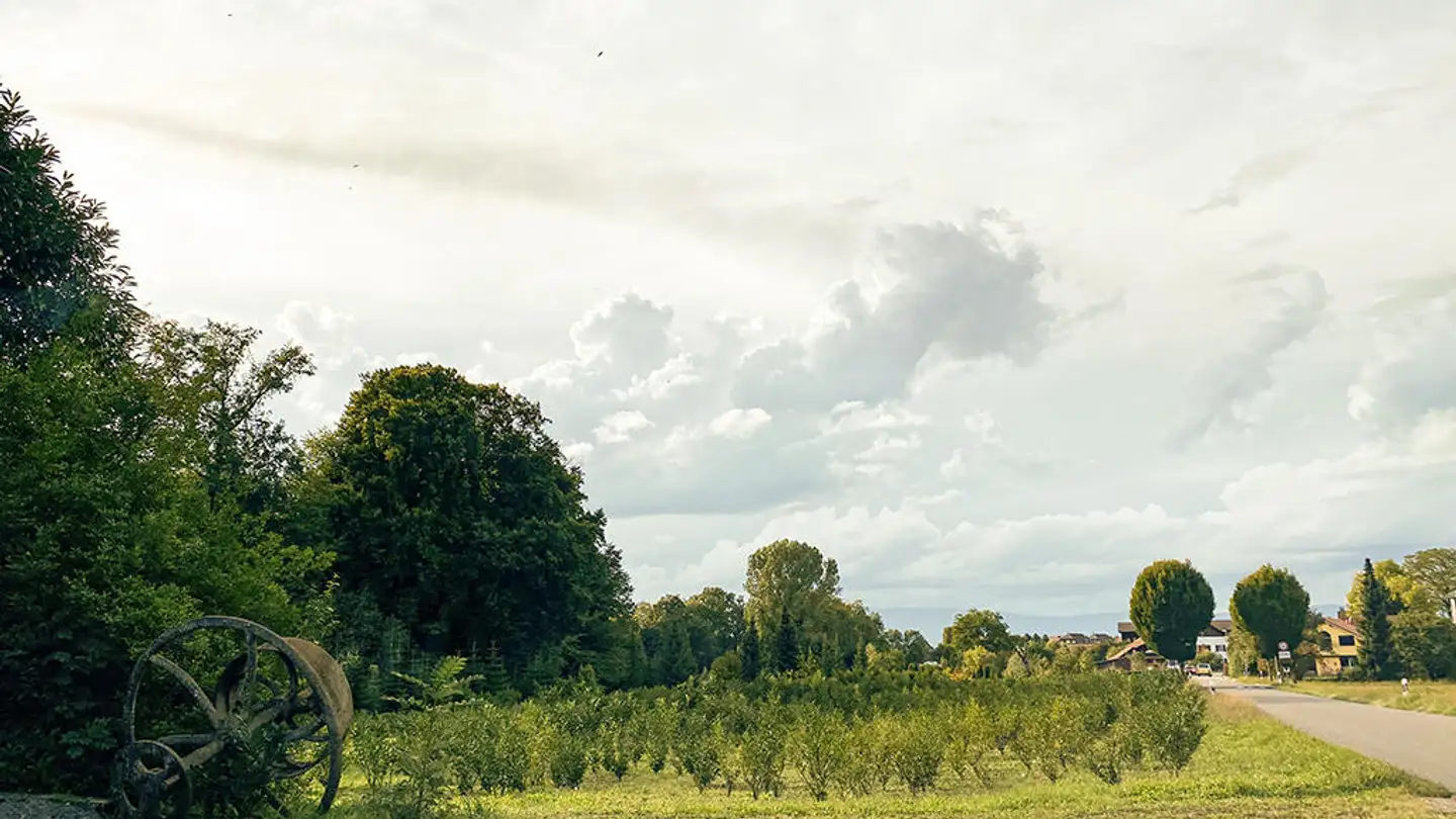 Casa singola in vendita - 1562 Corcelles-près-Payerne - Foto 2