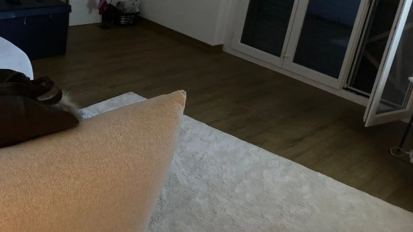 Attic flat for rent - Via Alexander Fleming 8, 6500 Bellinzona - Photo 4