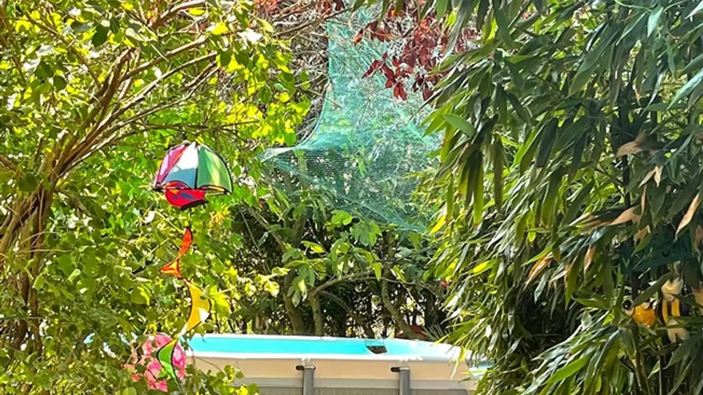 Single house for sale - Via Cadempina, 6814 Cadempino