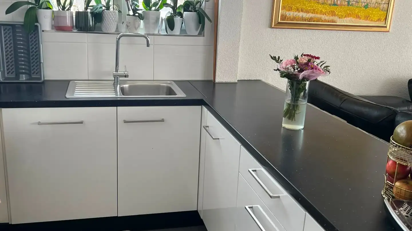 Appartamento in affitto - Steinenbachstrasse 1, 5015 Erlinsbach SO - Foto 3