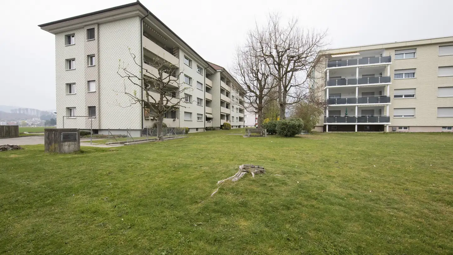 Wohnung mieten - Weissbergstrasse, 4665 Oftringen