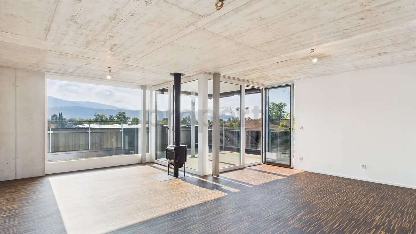 Attico in affitto - 4106 Therwil