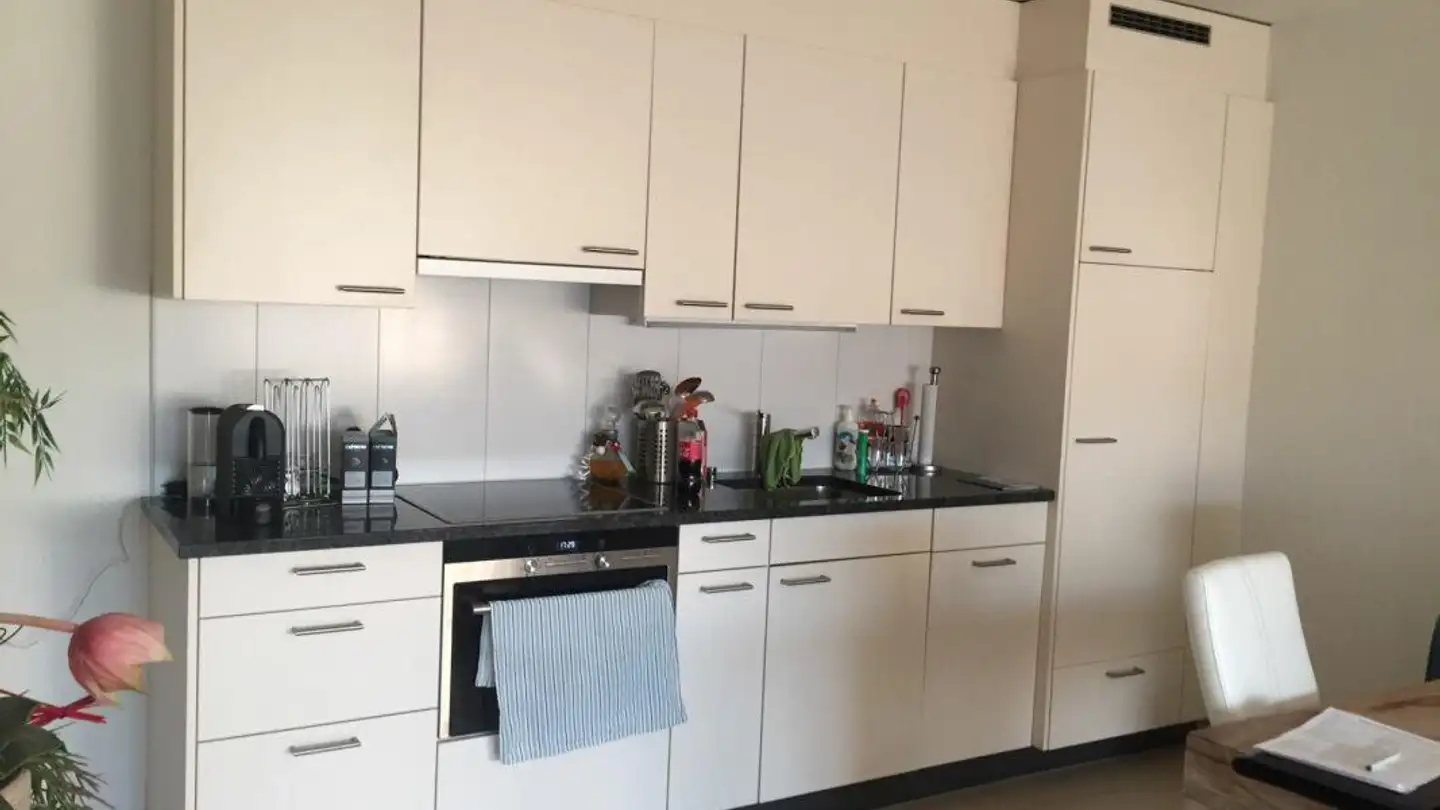 Appartamento in affitto - Erzenbergstrasse 51, 4410 Liestal - Foto 2