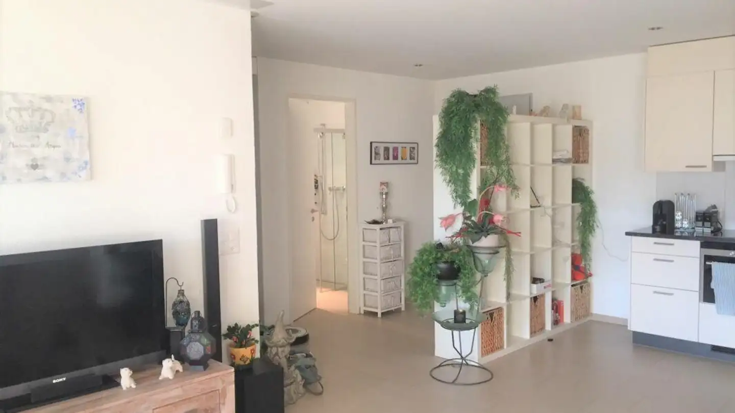 Appartamento in affitto - Erzenbergstrasse 51, 4410 Liestal - Foto 3
