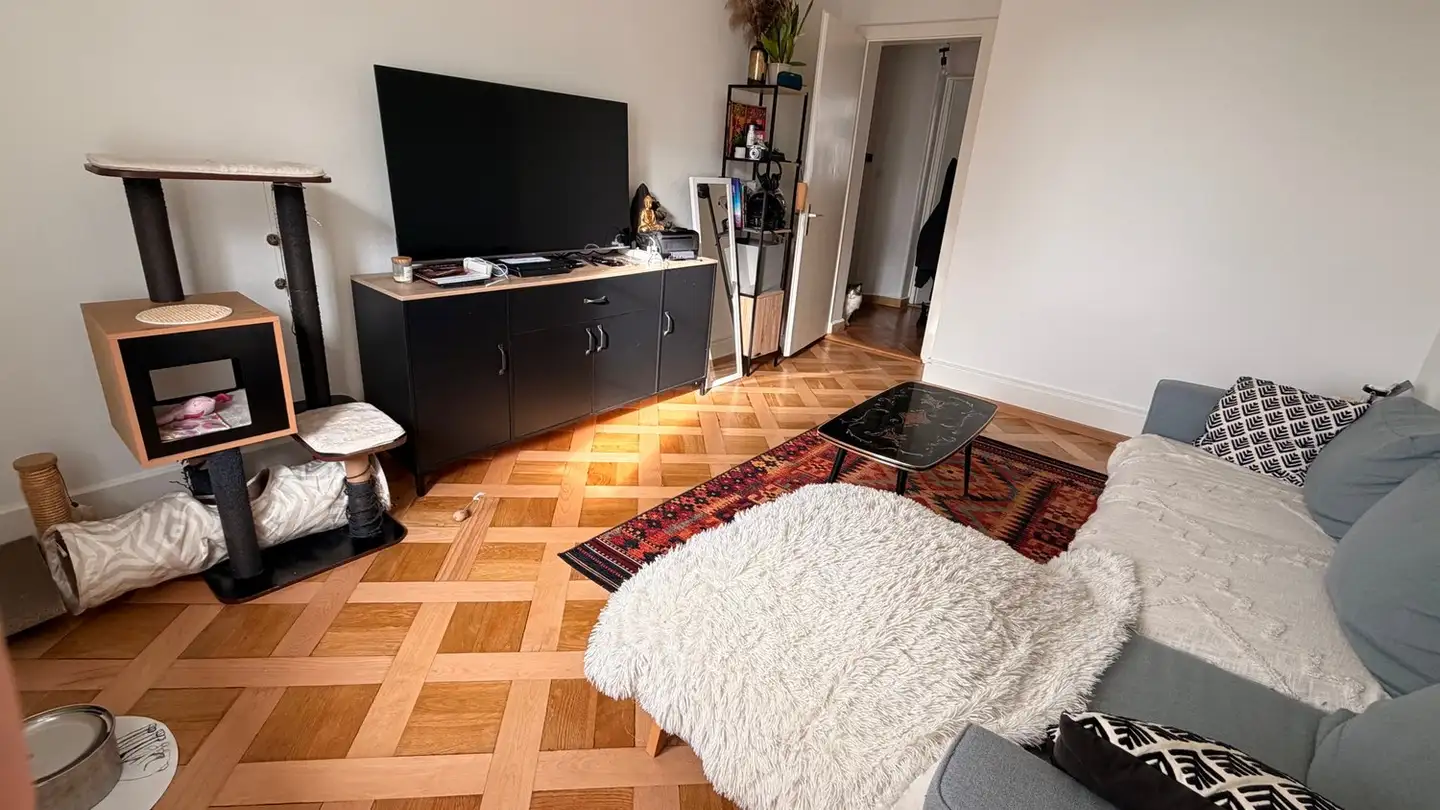 Appartamento in affitto - Chemin De Renens 11, 1004 Lausanne