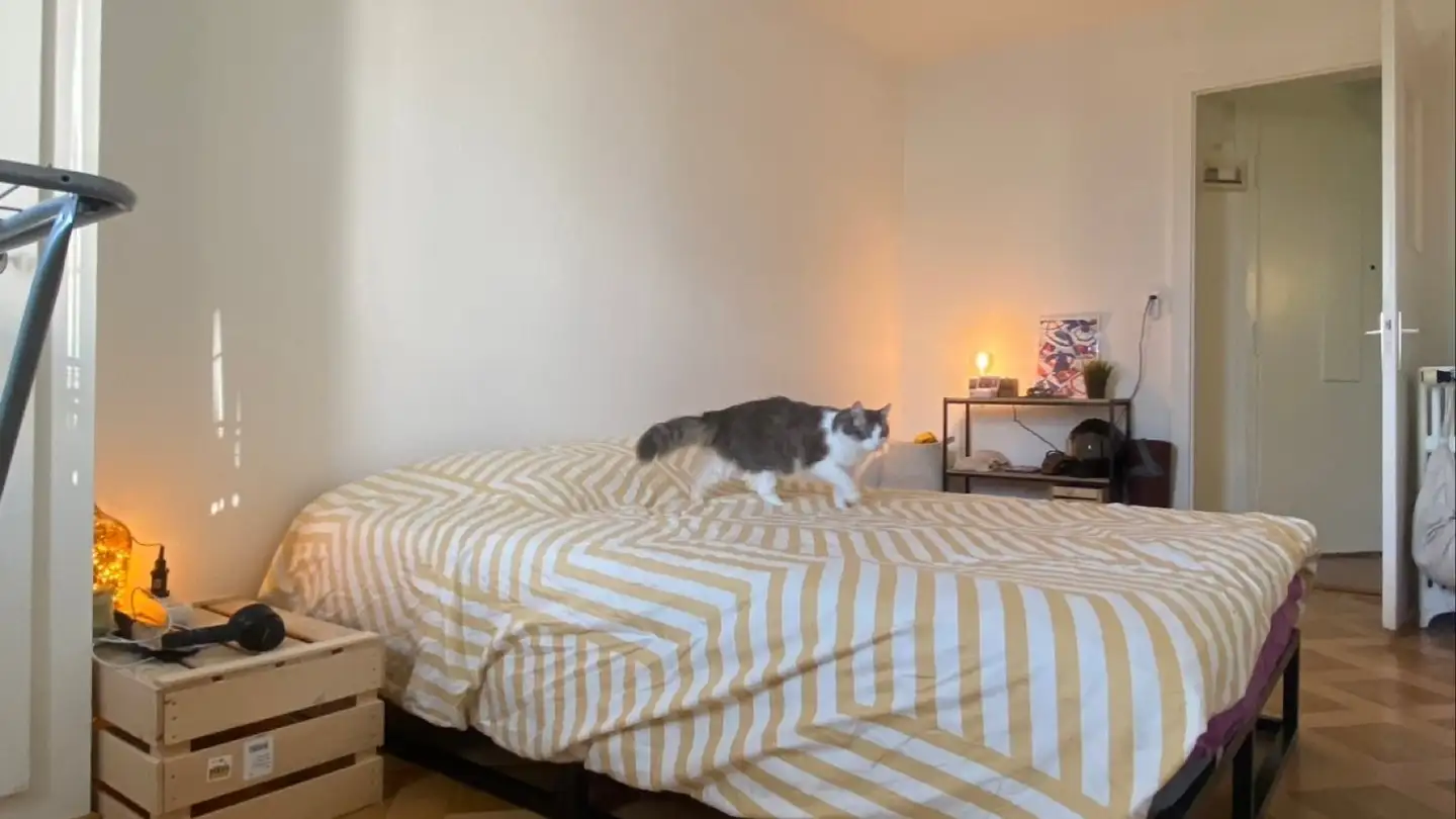 Appartamento in affitto - Chemin De Renens 11, 1004 Lausanne - Foto 2