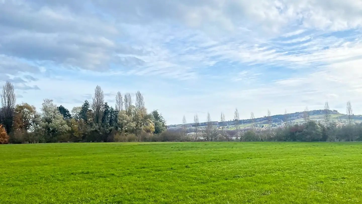 Duplex à vendre - 1400 Cheseaux-Noréaz