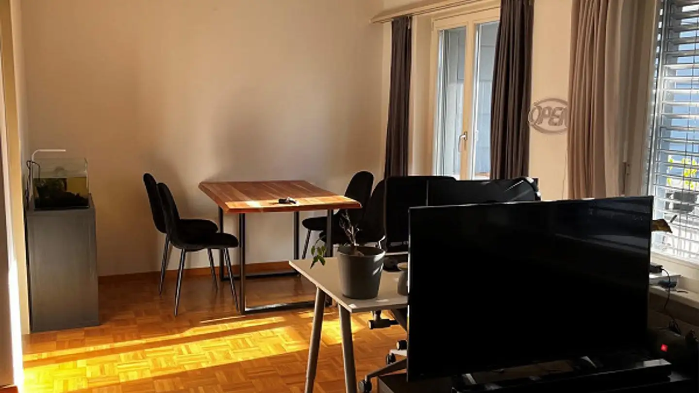 Apartment for rent - Burgstrasse 23, 8280 Kreuzlingen - Photo 4