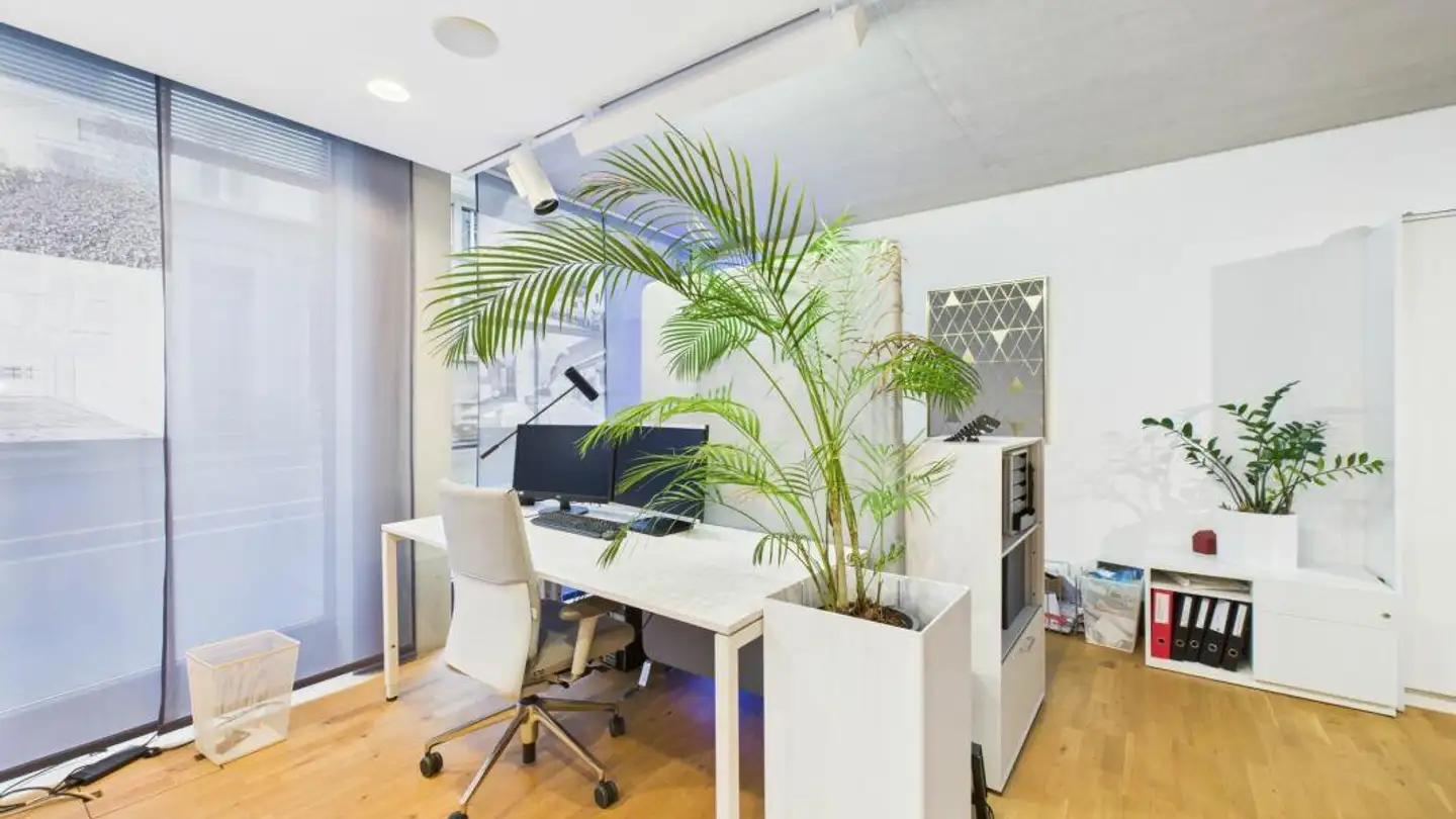 Commerciale in affitto - Zürichstrasse, 6030 Ebikon - Foto 3