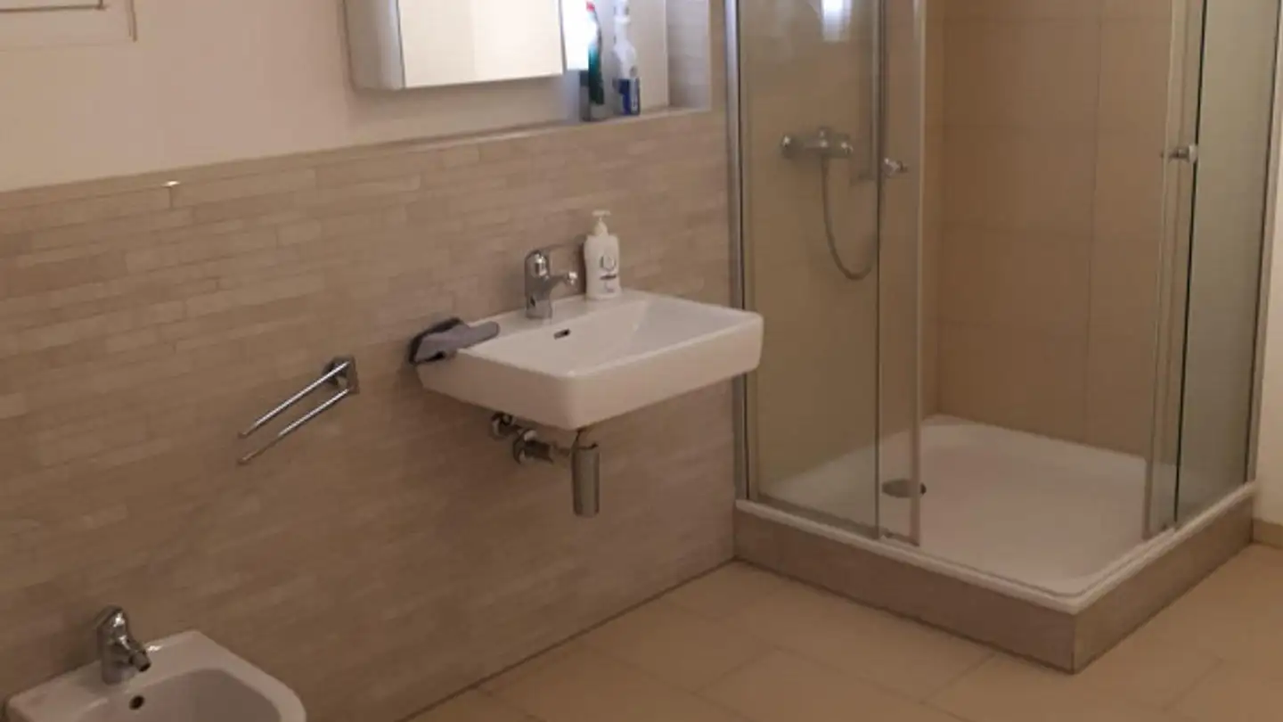 Appartamento in affitto - Hürliweidallee 7, 6048 Horw