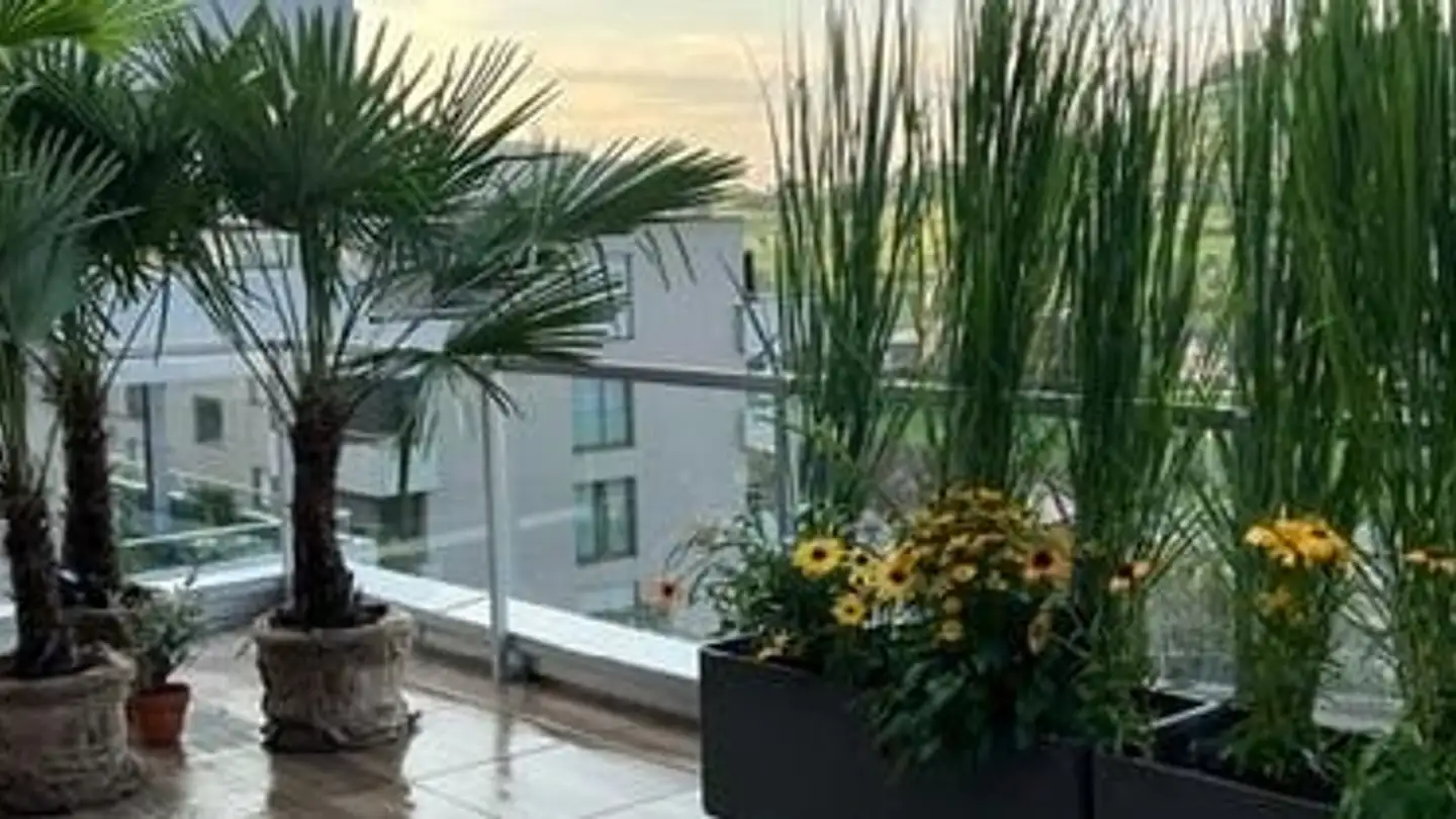 Appartamento a gradini in affitto - Ribetschiweg 2, 6405 Immensee - Foto 2