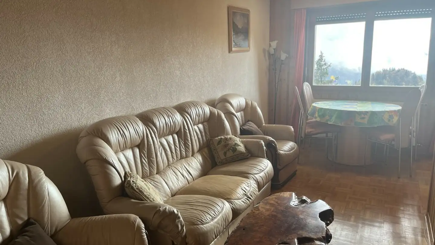 Appartamento ammobiliato in affitto - Avenue Rollier, 1854 Leysin - Foto 4