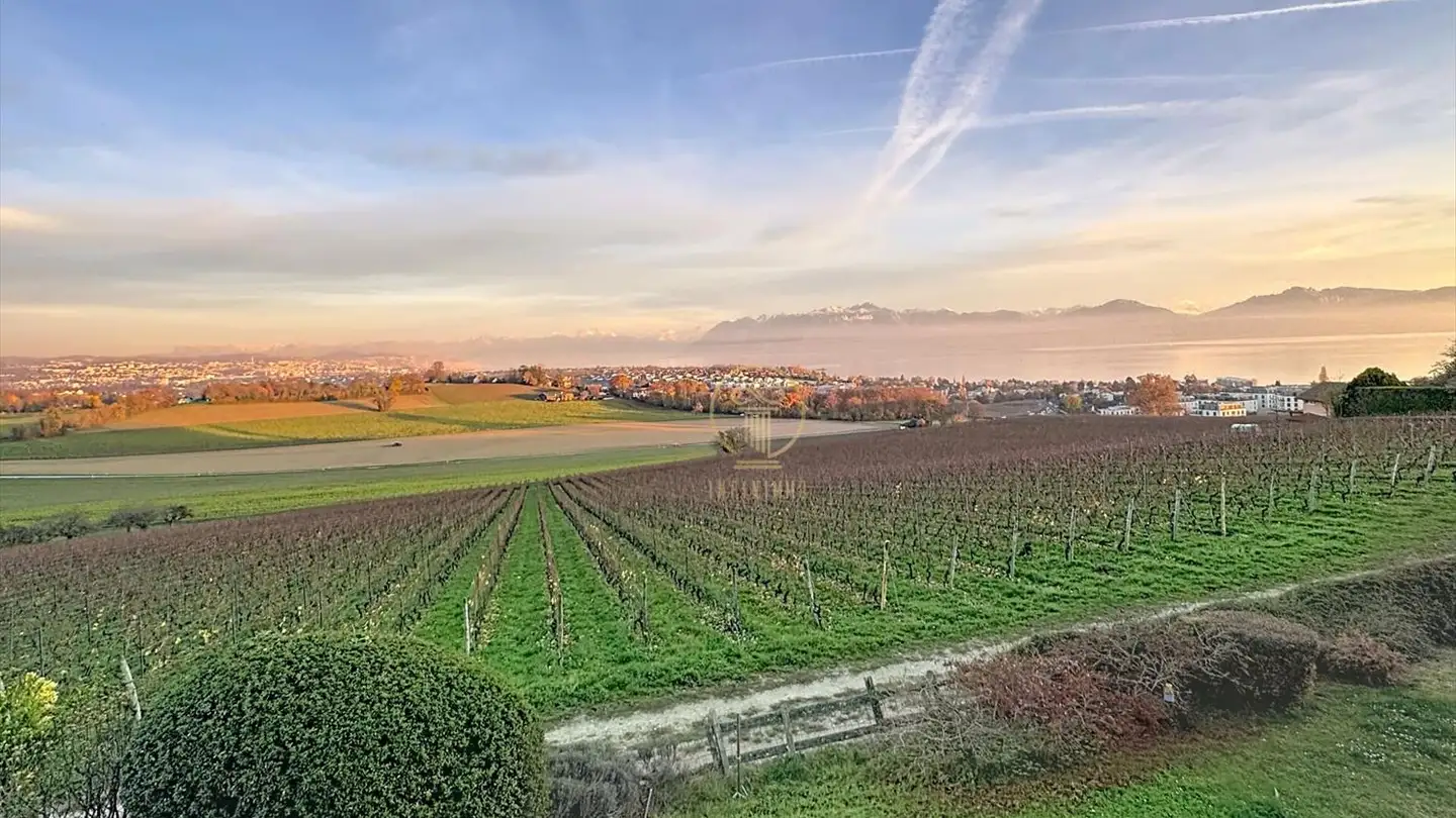 Einfamilienhaus kaufen - 1112 Echichens