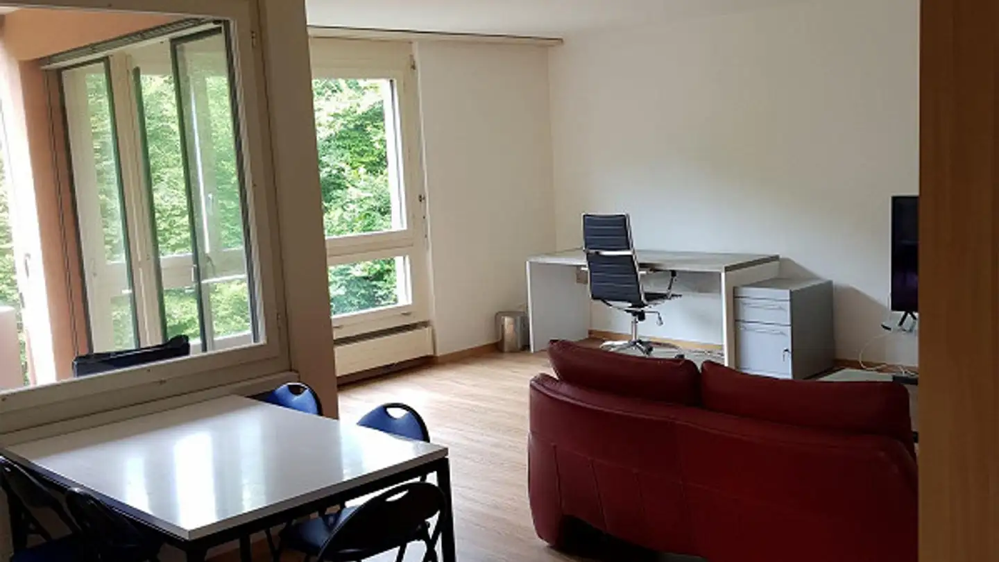 Furnished apartment for rent - Zelgstrasse 62, 8134 Adliswil - Photo 2