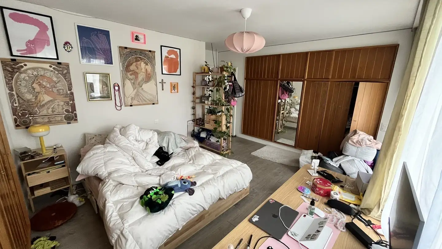 Chambre à louer - Goldbrunnenstrasse 73, 8055 Zürich - Photo 2