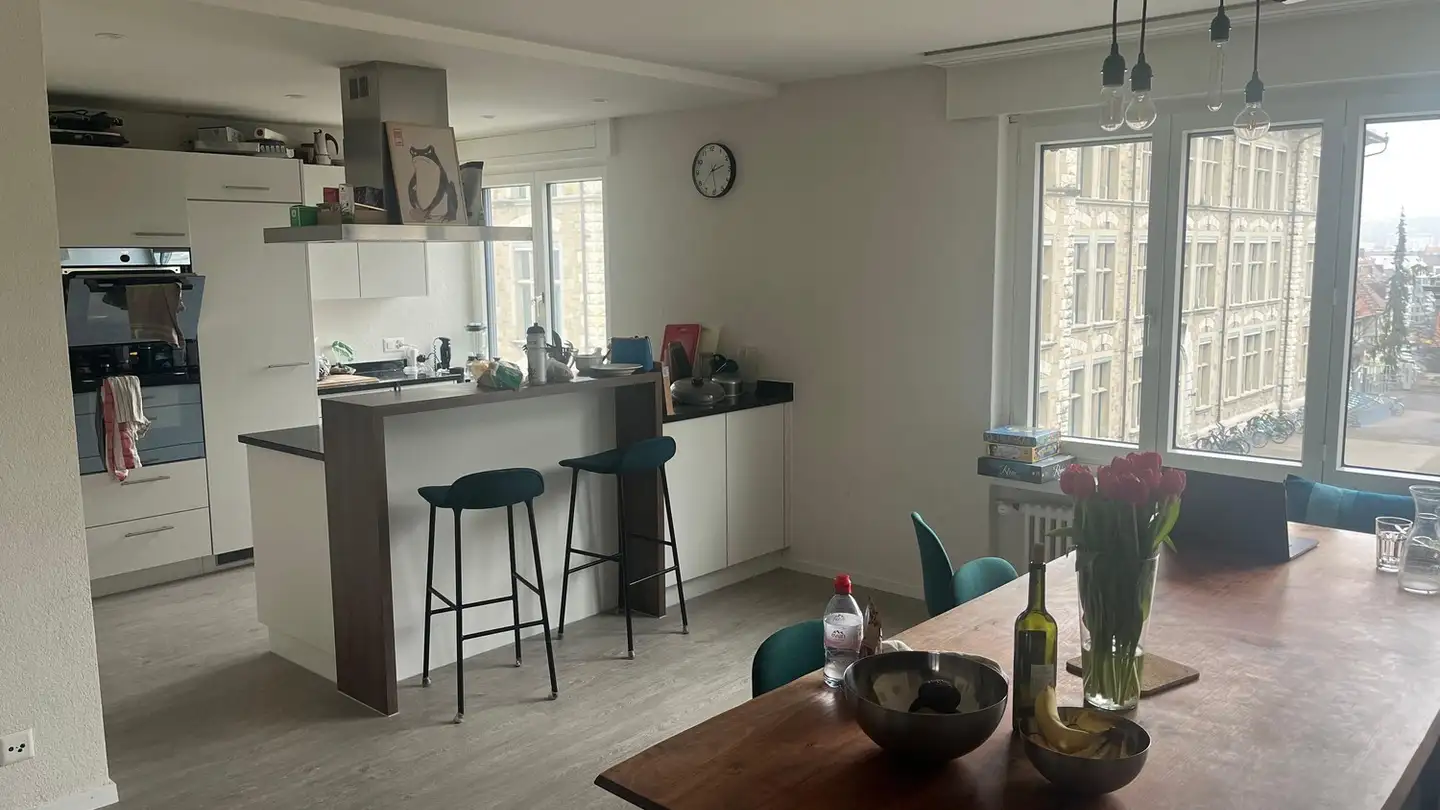 Chambre à louer - Goldbrunnenstrasse 73, 8055 Zürich - Photo 3