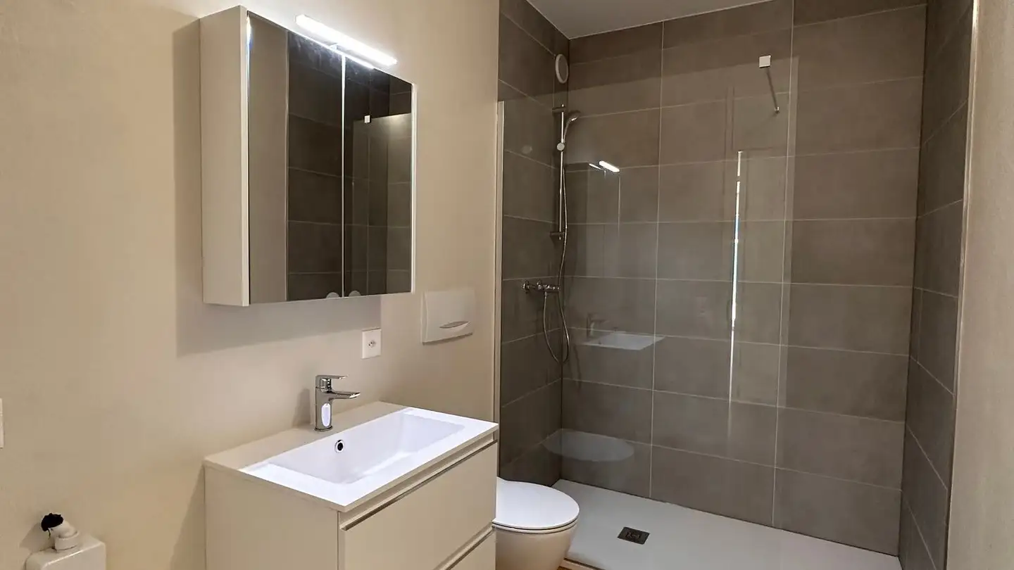 Apartment for sale - Via Del Tiglio 19b, 6605 Locarno - Photo 4