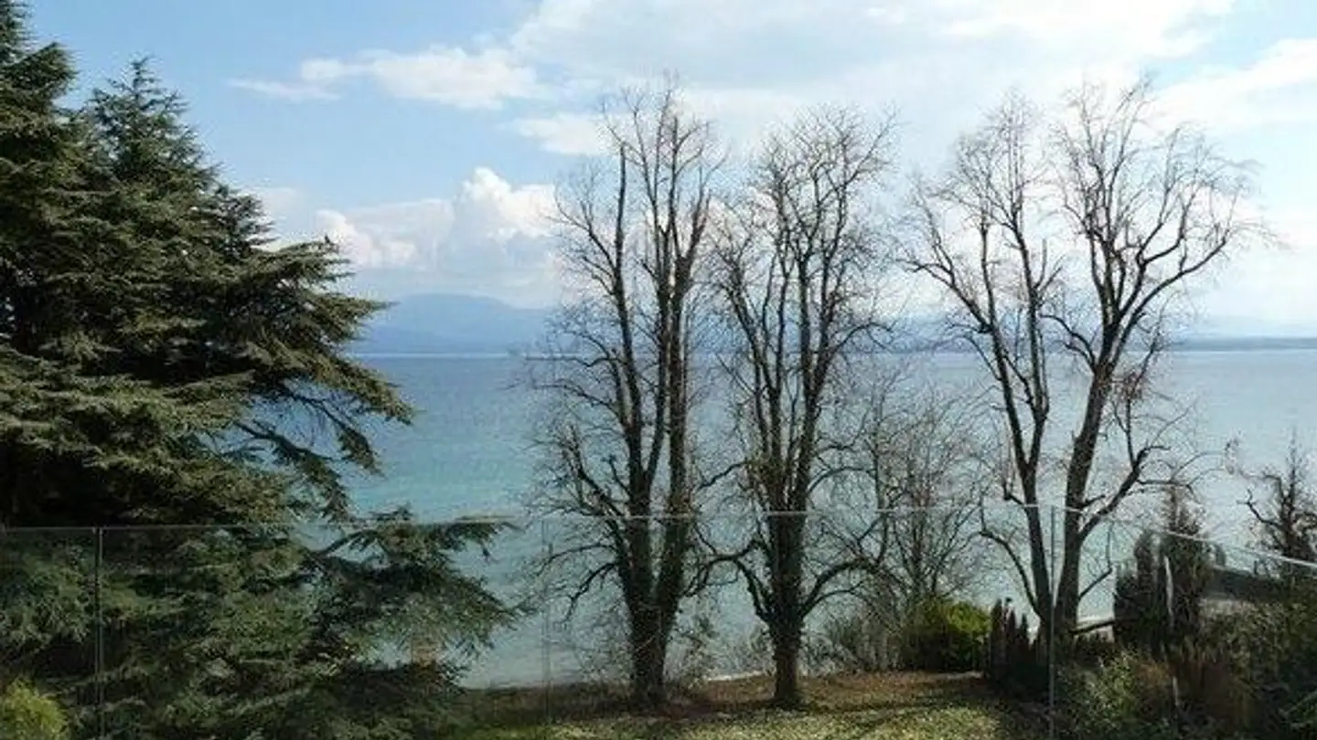 Villa à vendre - Chemin De La Dullive, 1196 Gland - Photo 2
