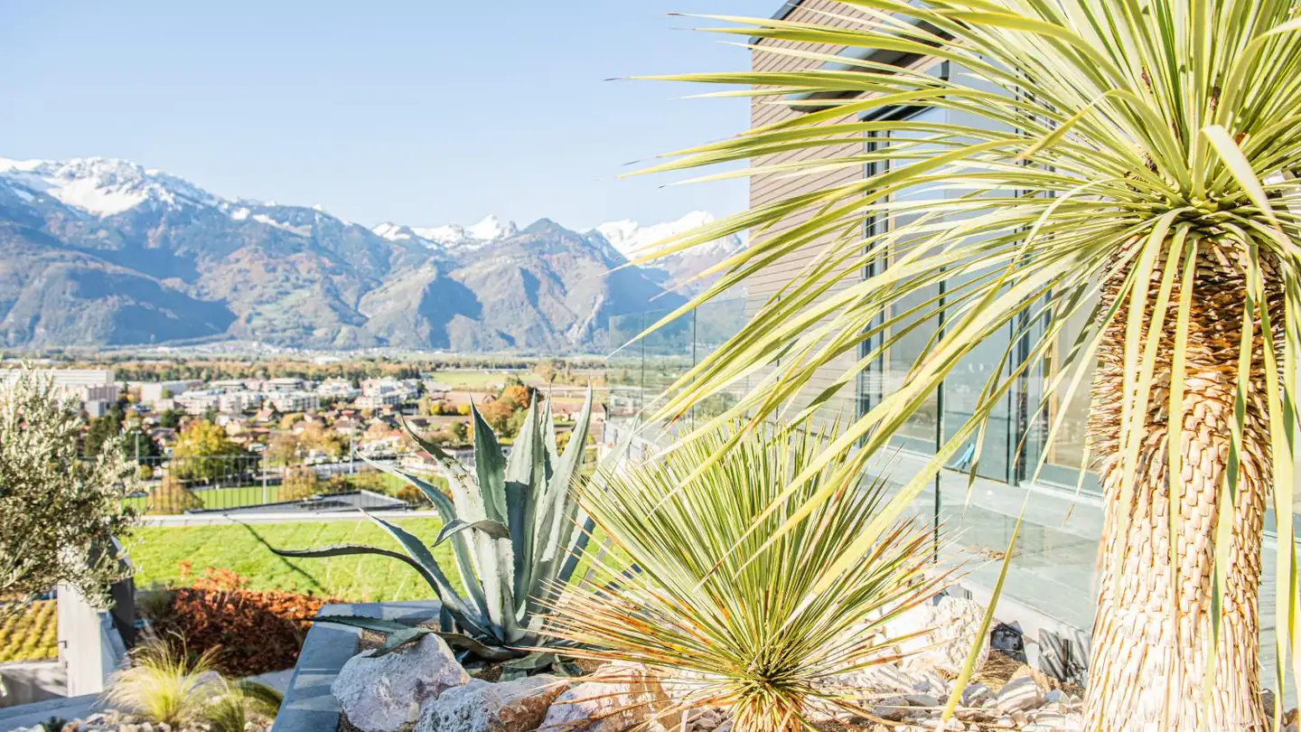 Apartment for rent - Chemin De Vers Pousaz 41, 1860 Aigle - Photo 4
