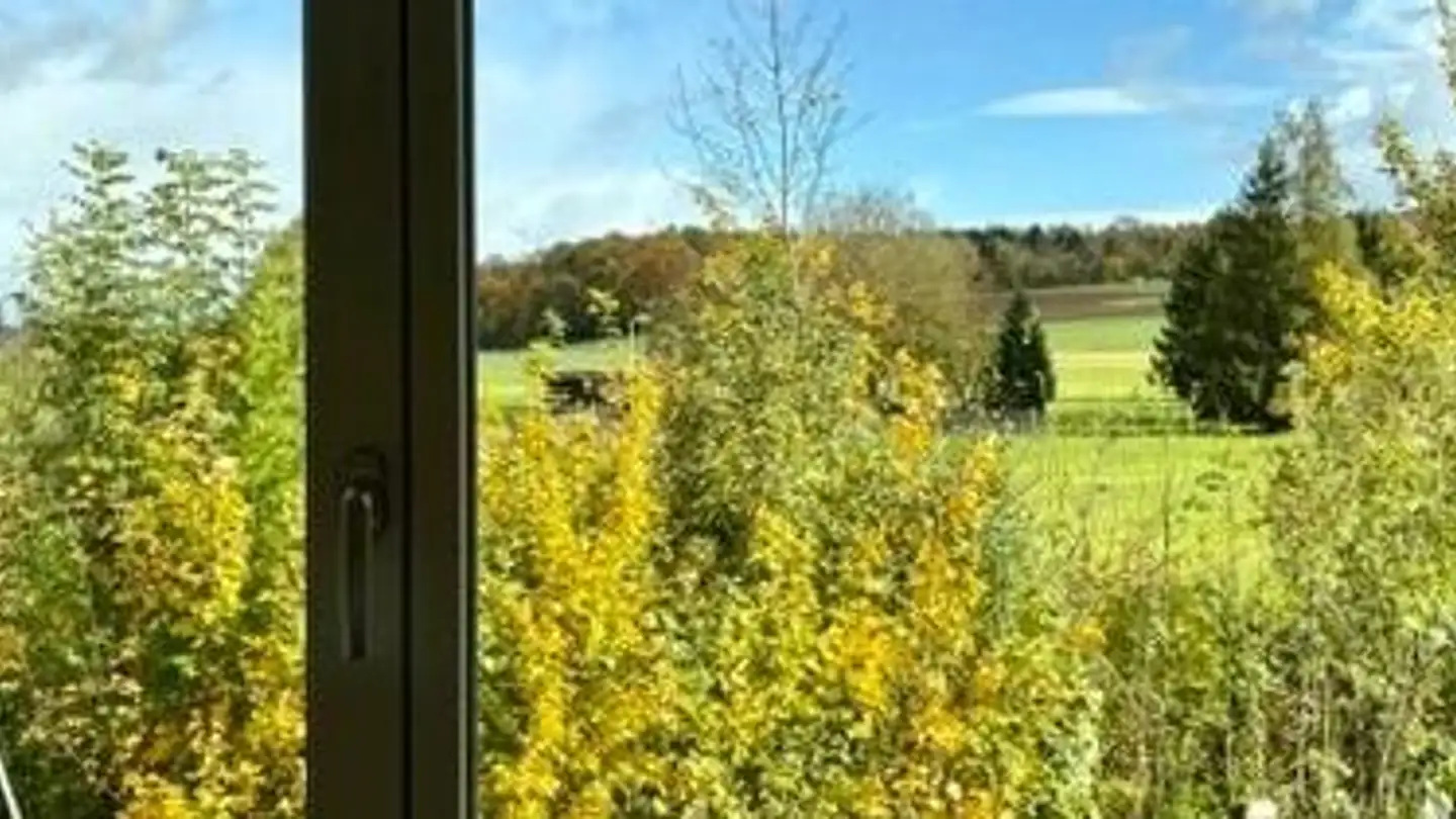 Apartment for rent - Unterdorfstrasse 23, 8965 Berikon