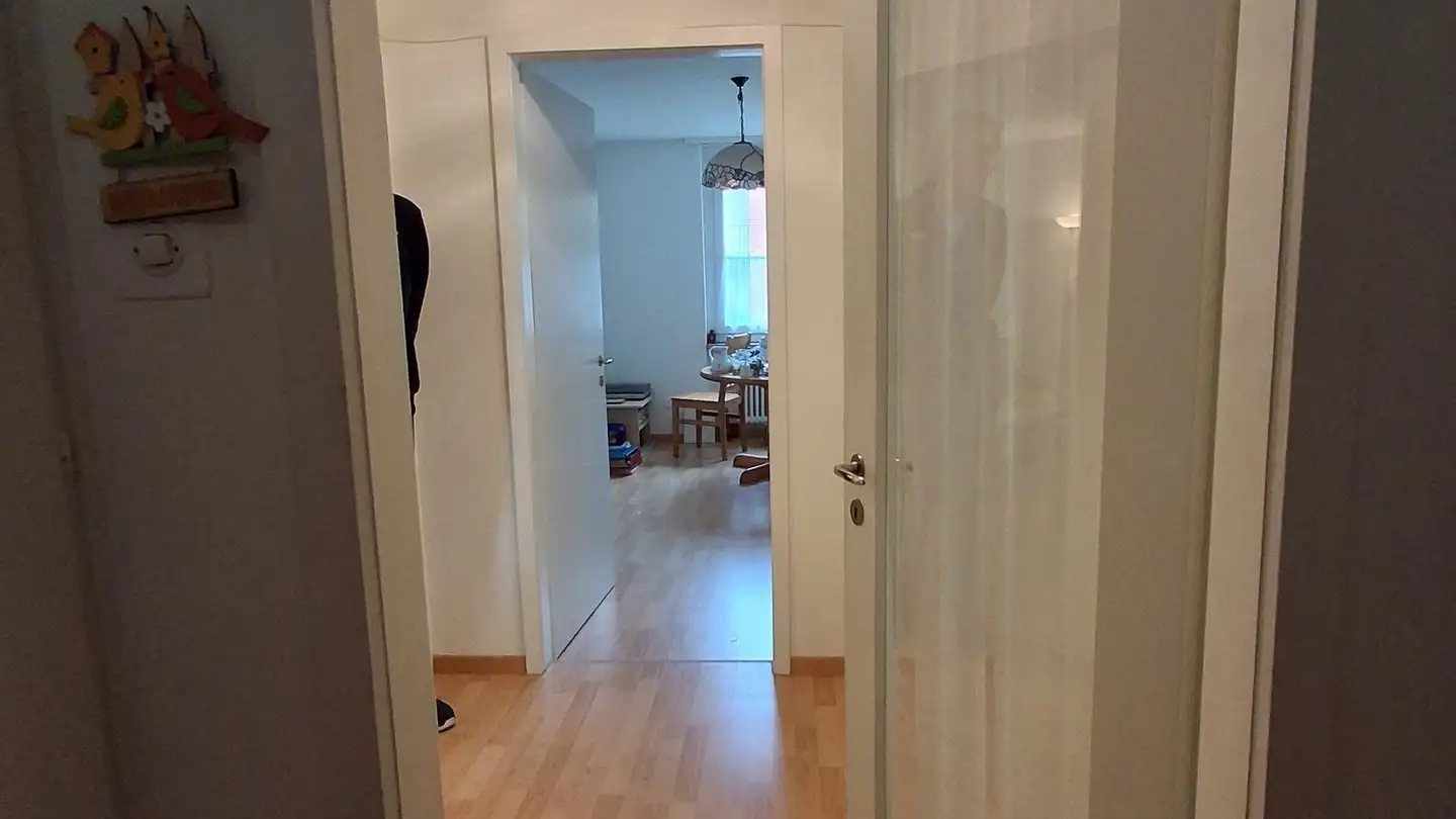 Appartement à louer - Riedhofstrasse 44, 8408 Winterthur - Photo 2