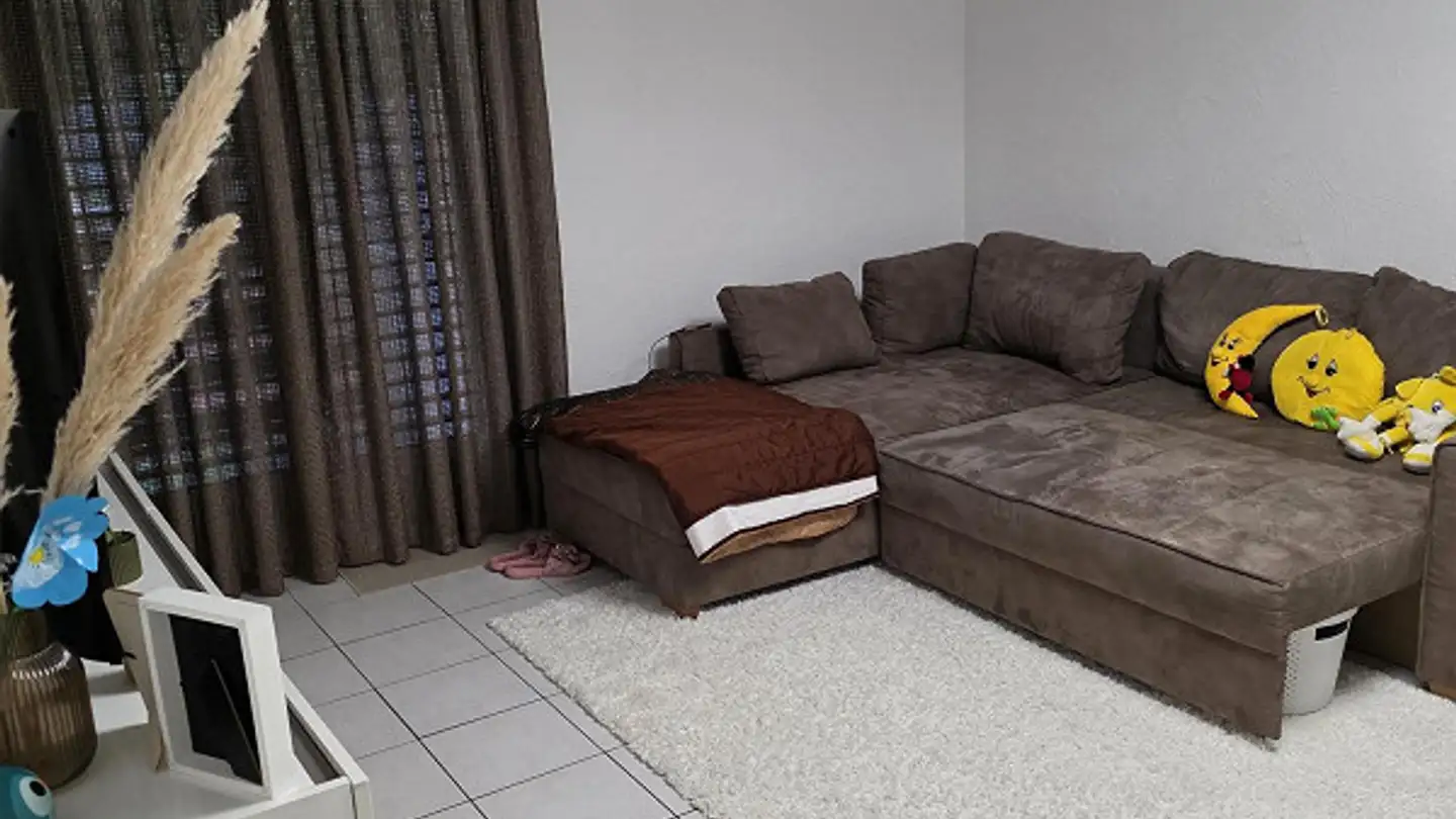 Apartment for rent - Remigihofstrasse 14, 8730 Uznach - Photo 4
