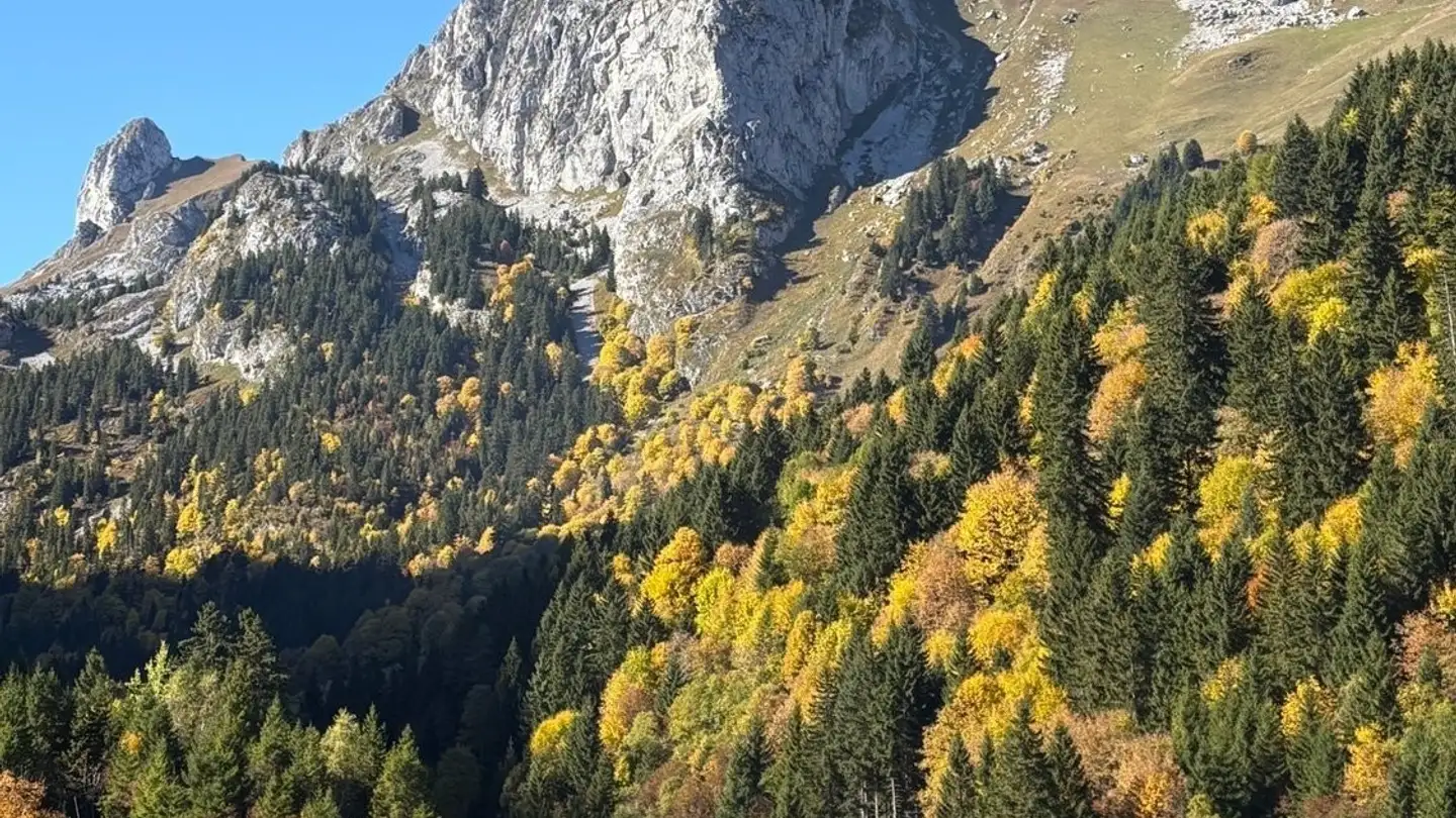 Appartement à louer - Chemin Du Lac, 1896 Miex - Photo 2