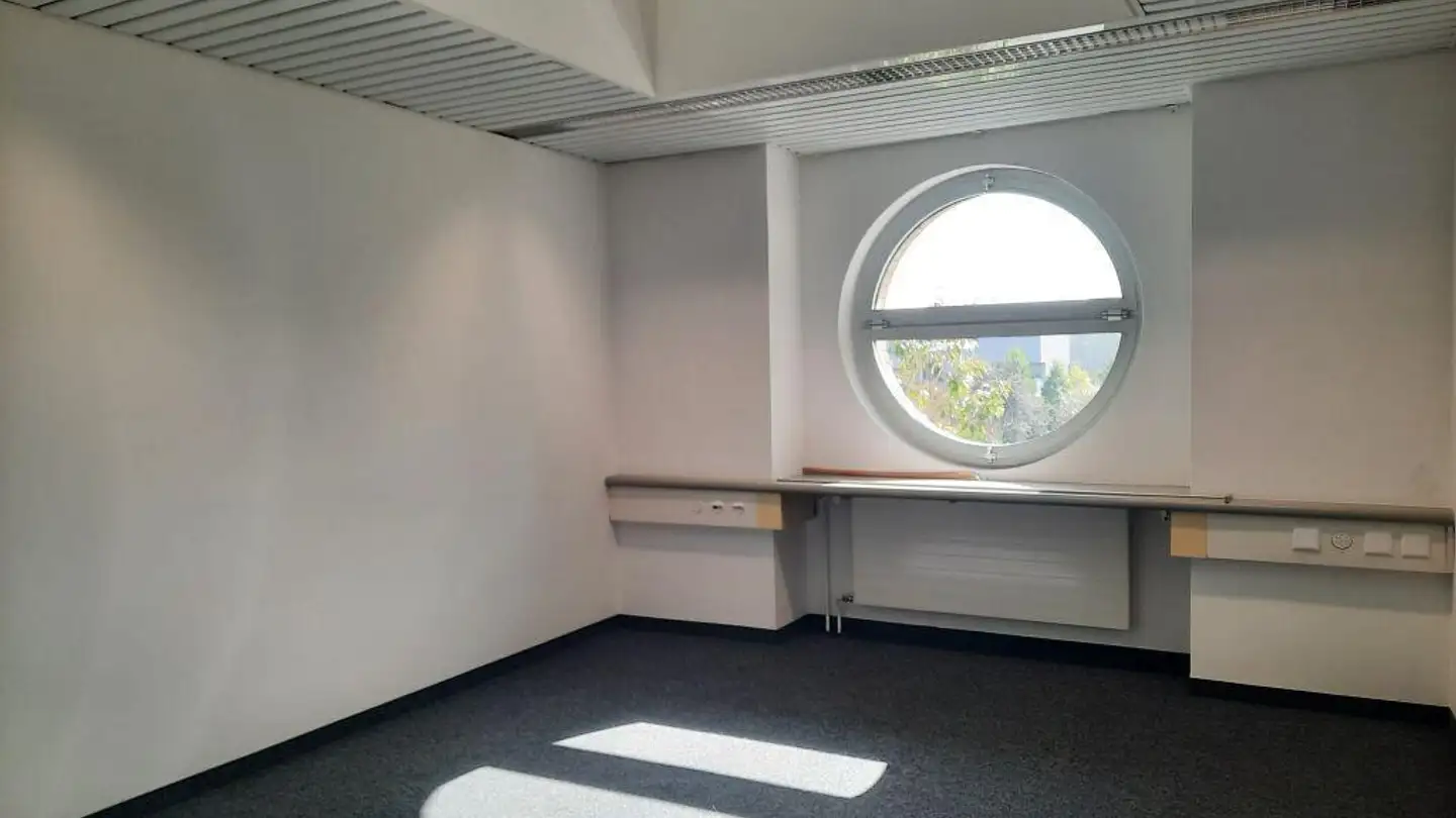 Commerciale in affitto - Eichwatt 3, 8105 Watt - Foto 3